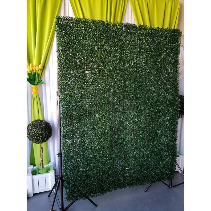 Boxwood Backdrop - Plain - 896x896